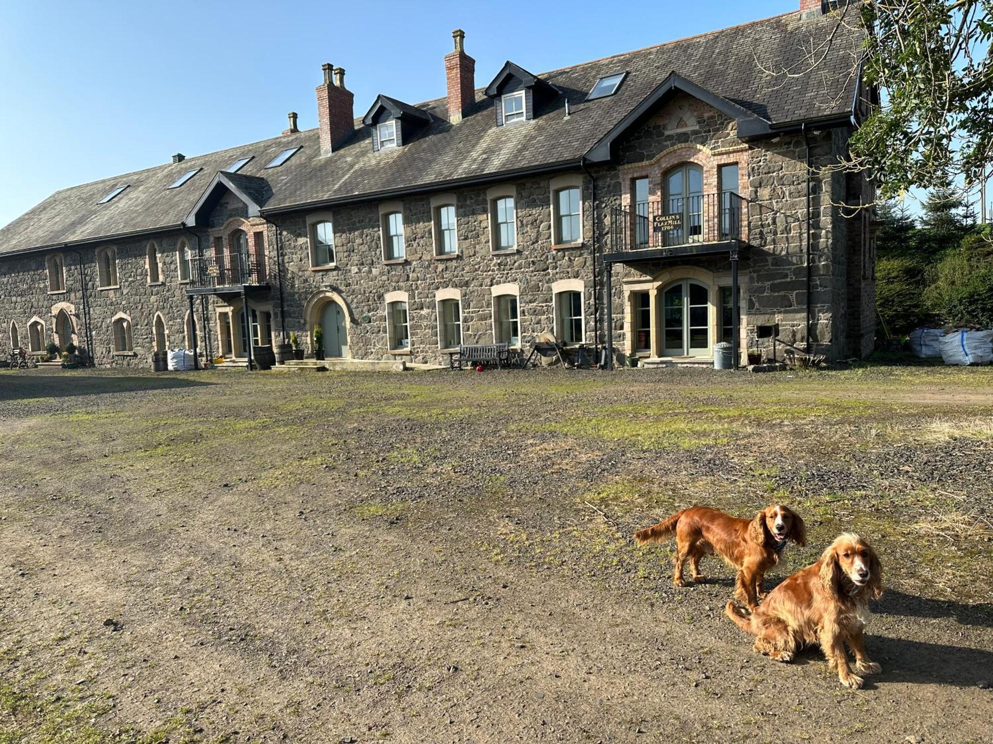 Villa The Old Flax Mill Yoga Retreat Coleraine Esterno foto